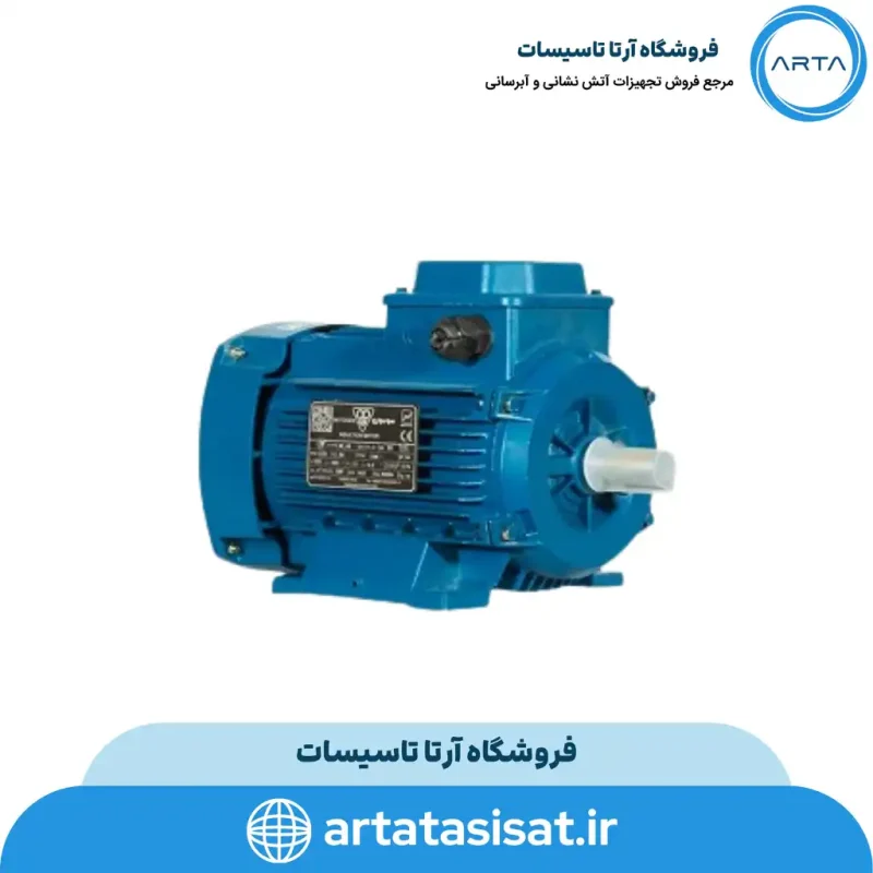 الکتروموتور موتوژن